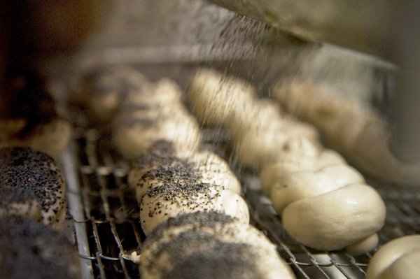 Mohnflesser im Backofen